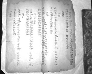 手抄本笠翁词《长相思·无题》的夹批：“入神之笔，不但绘形绘影，而兼能绘神绘情。”