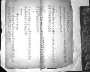 手抄本笠翁词《感旧四时词忆乔姬在日》（之三）的夹批：“有此妙姬，令人那得不感，令人那得不忆。”