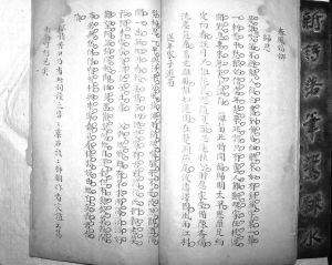 手抄本笠翁词《送年家子游蜀》夹批：“深情苦口乃有此词，读之字字药石语语肺腑，作者交谊之笃，于斯可想见矣。”