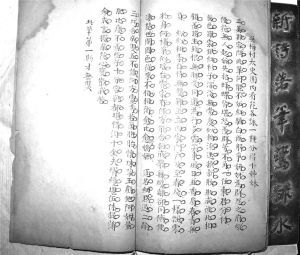 手抄本笠翁词《莺啼序》夹批：“此笔第一，斯才无双。”