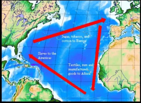 1578392244635346.jpg