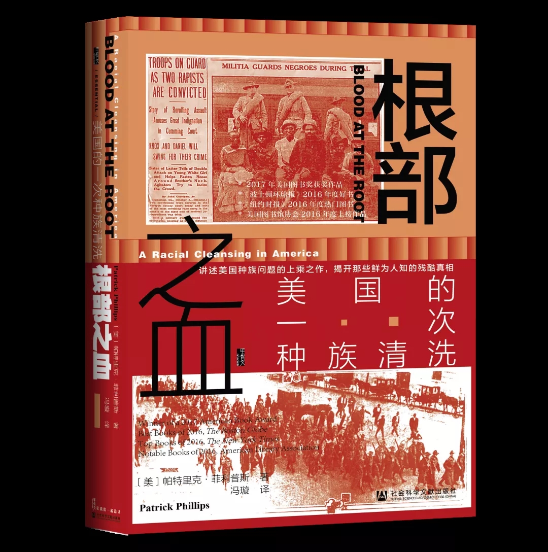 根部.webp.jpg