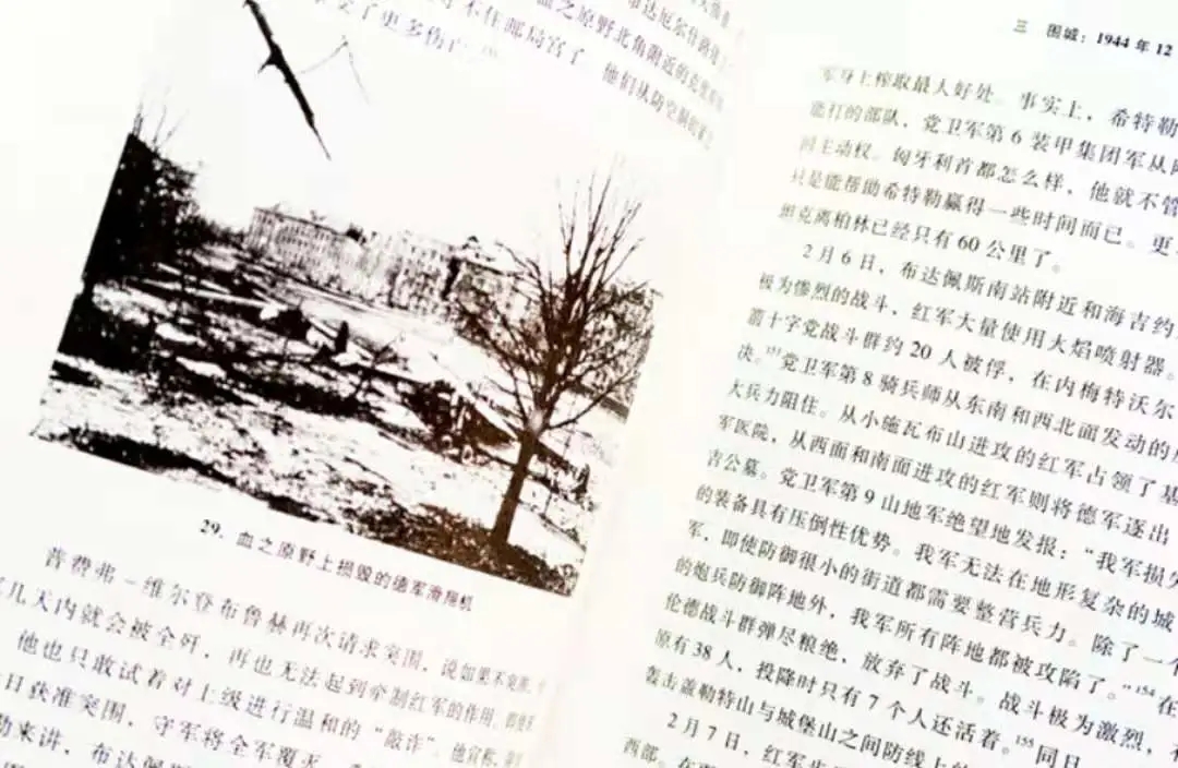 1623117384724379.jpg