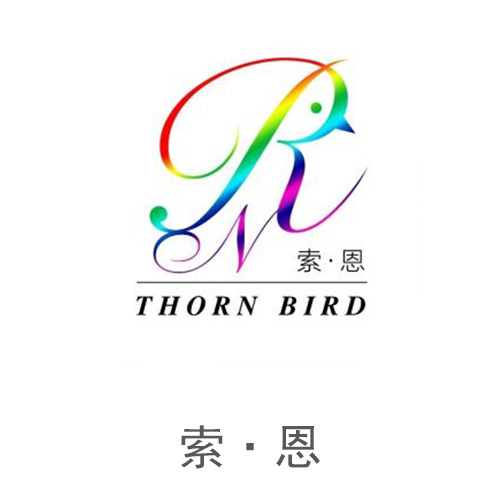 索恩