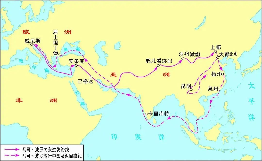 仙那度3.jpg